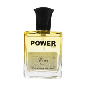 عطر مردانه مینی تق د هرمس 25ML - پاور پالس