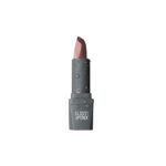 رژ لب جامد براق 305 4gr - آلیکس آوین