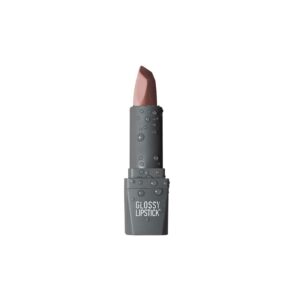 رژ لب جامد براق 305 4gr - آلیکس آوین