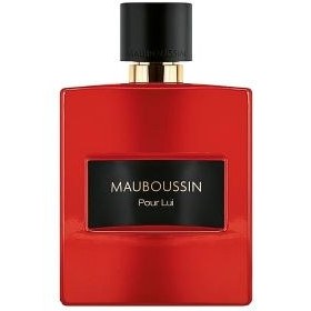عطر مردانه پور لویی این رد 100ML – مابوسین